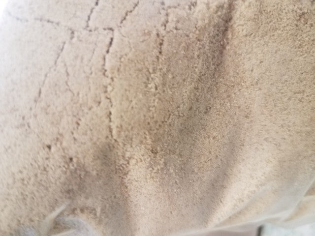 Granulated Maple Sugar - 10 lb. Bag